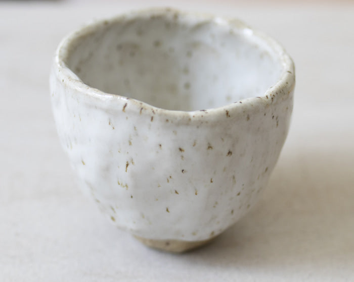 Botz Pro Opal White Stoneware Glaze (9301)