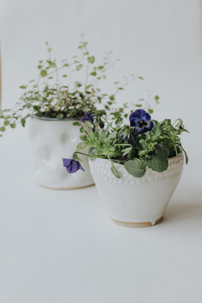 Make your own ceramic planters class